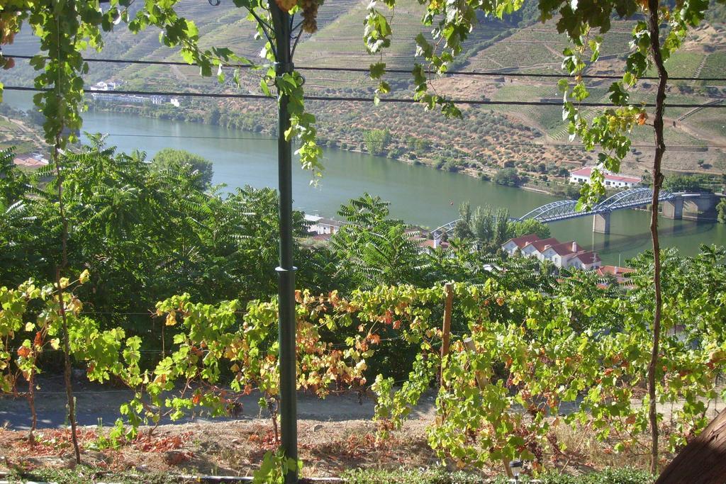 皮尼昂Quinta Da Galeira别墅 客房 照片