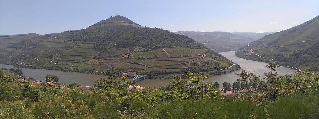 皮尼昂Quinta Da Galeira别墅 外观 照片
